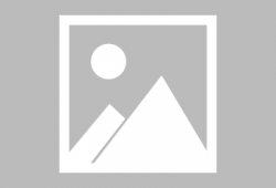 在线播放视频,一窥精彩瞬间